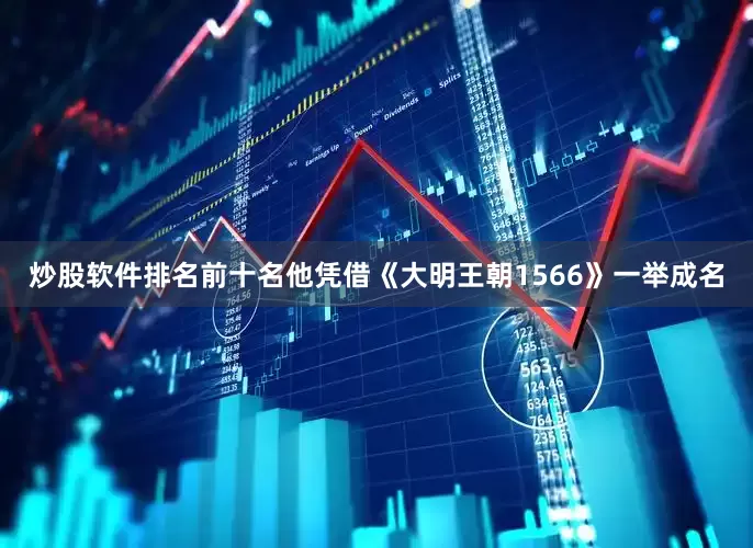 炒股软件排名前十名他凭借《大明王朝1566》一举成名