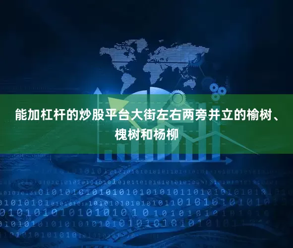 能加杠杆的炒股平台大街左右两旁并立的榆树、槐树和杨柳