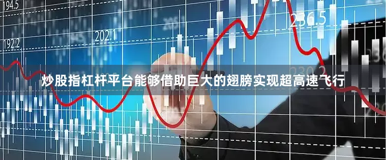 炒股指杠杆平台能够借助巨大的翅膀实现超高速飞行