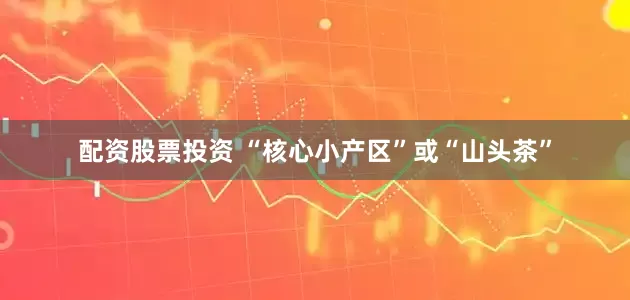 配资股票投资 “核心小产区”或“山头茶”
